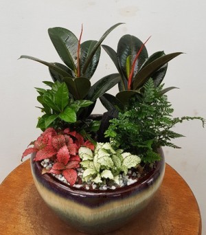 미니정원 (서울만 배송)