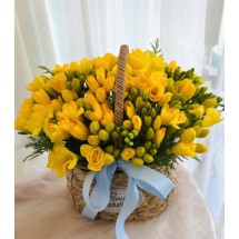 후리지아꽃바구니(예약상품)