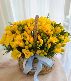 후리지아꽃바구니(예약상품)