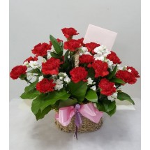 어버이날 카네이션-감사의 마음