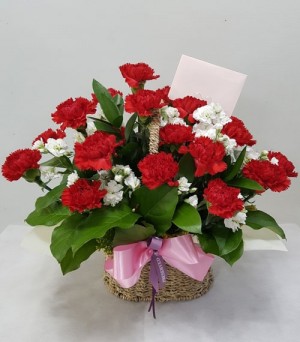 어버이날 카네이션-감사의 마음