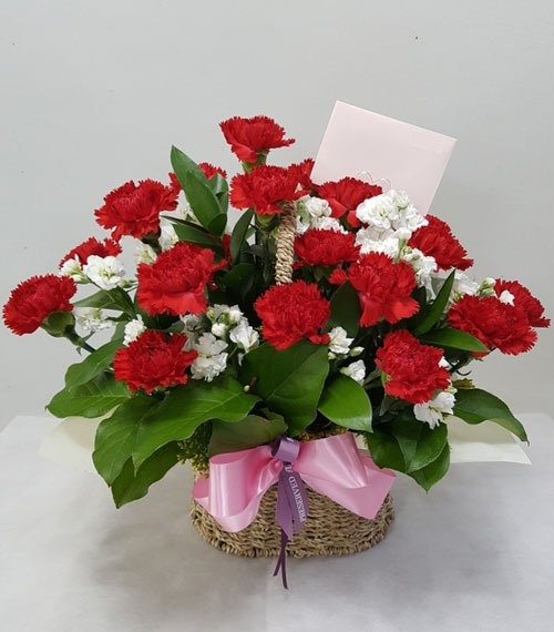 어버이날 카네이션-감사의 마음