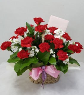 어버이날 카네이션-감사의 마음