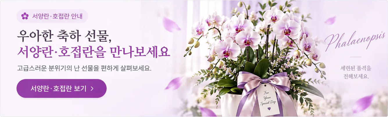 Phalaenopsis orchids flower delivery purchase guide
